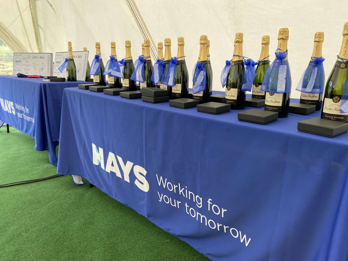 Alcott Events Corporate Festival Fun Day - Marquee  (9).jpg