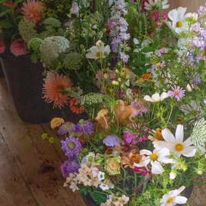 Alcott Weddings & Events Flowers