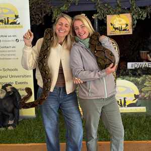 DWAC at Alcott Events