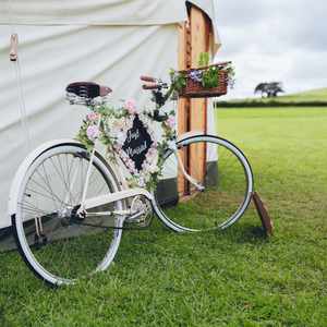Wedding vintage bike