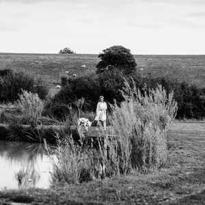 Dog at the wedding - lake walks