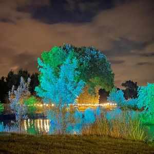 Trees lit around lake - Alcott Weddings